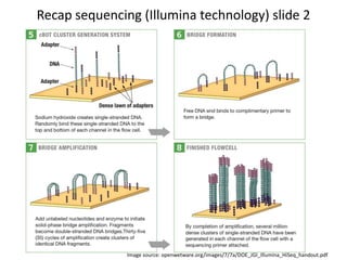 Recap sequencing (Illumina technology) slide 2
Image source: openwetware.org/images/7/7a/DOE_JGI_Illumina_HiSeq_handout.pdf
 