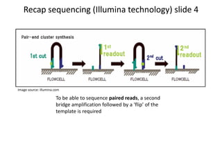 Recap sequencing (Illumina technology) slide 4
To be able to sequence paired reads, a second
bridge amplification followed by a ‘flip’ of the
template is required
Image source: illumina.com
 