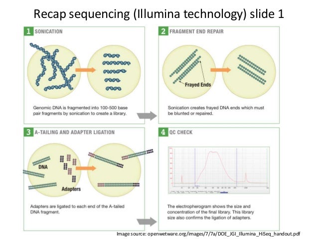 galaxy sequence analysis galaxy sequence analysis