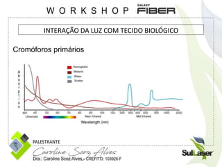 Cromóforos primários
INTERAÇÃO DA LUZ COM TECIDO BIOLÓGICO
 