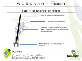 ESTRUTURA DO FOLÍCULO PILOSO
 