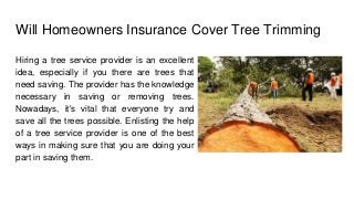Will Homeowners Insurance Cover Tree Trimming
Hiring a tree service provider is an excellent
idea, especially if you there are trees that
need saving. The provider has the knowledge
necessary in saving or removing trees.
Nowadays, it's vital that everyone try and
save all the trees possible. Enlisting the help
of a tree service provider is one of the best
ways in making sure that you are doing your
part in saving them.
 