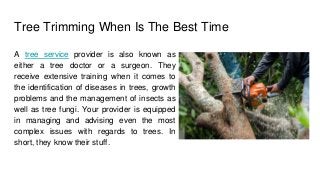 Tree Trimming When Is The Best Time
A tree service provider is also known as
either a tree doctor or a surgeon. They
receive extensive training when it comes to
the identification of diseases in trees, growth
problems and the management of insects as
well as tree fungi. Your provider is equipped
in managing and advising even the most
complex issues with regards to trees. In
short, they know their stuff.
 