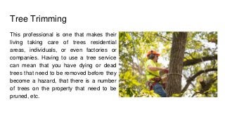 Tree Trimming
This professional is one that makes their
living taking care of trees residential
areas, individuals, or even factories or
companies. Having to use a tree service
can mean that you have dying or dead
trees that need to be removed before they
become a hazard, that there is a number
of trees on the property that need to be
pruned, etc.
 
