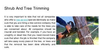 Shrub And Tree Trimming
It is very important to note that not all companies
who offer a tree service operate identically so make
sure that you are hiring a tree service company that
is able to take care of the needs for the trees you
are concerned about. All companies should be
insured and bonded. For example, if you have an
unsightly or dead tree that you need moved make
sure that when the job is finished that the company
will take away every piece of the tree, or trees and
that the removal has been done efficiently and
safe.
 