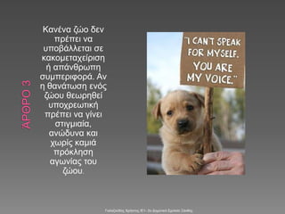 Κανένα ζώο δεν
πρέπει να
υποβάλλεται σε
κακομεταχείριση
ή απάνθρωπη
συμπεριφορά. Αν
η θανάτωση ενός
ζώου θεωρηθεί
υποχρεωτική
πρέπει να γίνει
στιγμιαία,
ανώδυνα και
χωρίς καμιά
πρόκληση
αγωνίας του
ζώου.
Γαλαζούδης Χρήστος /Ε1- 2ο Δημοτικό Σχολείο Ξάνθης
 