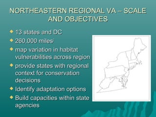NORTHEASTERN REGIONAL VA – SCALENORTHEASTERN REGIONAL VA – SCALE
AND OBJECTIVESAND OBJECTIVES
 13 states and DC13 states and DC
 260,000 miles260,000 miles22
 map variation in habitatmap variation in habitat
vulnerabilities across regionvulnerabilities across region
 provide states with regionalprovide states with regional
context for conservationcontext for conservation
decisionsdecisions
 Identify adaptation optionsIdentify adaptation options
 Build capacities within stateBuild capacities within state
agenciesagencies
 