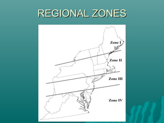 REGIONAL ZONESREGIONAL ZONES
 