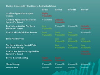 Habitat Vulnerability Rankings in Latitudinal Zones
Zone I Zone II Zone III Zone IV
Acadian-Appalachian Alpine
Tundra
Highly
Vulnerable
Acadian-Appalachian Montane
Spruce-Fir Forest
Vulnerable Critically
Vulnerable
Laurentian-Acadian Northern
Hardwood Forest
Less
Vulnerable
Vulnerable Vulnerable Critically
Vulnerable
Central Mixed Oak-Pine Forests Least
Vulnerable
Least
Vulnerable
Less
Vulnerable
Vulnerable
Pitch Pine Barrens Less
Vulnerable
Less
Vulnerable
Less
Vulnerable
Northern Atlantic Coastal Plain
Basin Peat Swamp
Less
Vulnerable
Less
Vulnerable
Less
Vulnerable
Central and Southern Appalachian
Spruce-Fir Forest
Critically
Vulnerable
Boreal-Laurentian Bog Highly
Vulnerable
Highly
Vulnerable
Shrub Swamp Vulnerable Vulnerable Vulnerable Vulnerable
Emergent Marsh Vulnerable Vulnerable Vulnerable Vulnerable
 