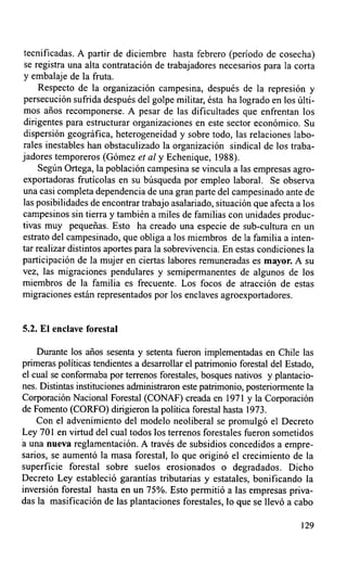 tecnificadas. A partir de diciembre hasta febrero (período de cosecha)
 se registra una alta contratación de trabajadores necesarios para la corta
 y embalaje de la fruta.
     Respecto de la organización campesina, después de la represión y
persecución sufrida después del golpe militar, ésta ha logrado en los últi-
 mos años recomponerse. A pesar de las dificultades que enfrentan los
 dirigentes para estructurar organizaciones en este sector económico. Su
 dispersión geográfica, heterogeneidad y sobre todo, las relaciones labo-
rales inestables han obstaculizado la organización sindical de los traba-
jadores temporeros (Gómez et al y Echenique, 1988).
     Según Ortega, la población campesina se vincula a las empresas agro-
exportadoras frutícolas en su búsqueda por empleo laboral. Se observa
una casi completa dependencia de una gran parte del campesinado ante de
las posibilidades de encontrar trabajo asalariado, situación que afecta a los
campesinos sin tierra y también a miles de familias con unidades produc-
tivas muy pequeñas. Esto ha creado una especie de sub-cultura en un
estrato del campesinado, que obliga a los miembros de la familia a inten-
tar realizar distintos aportes para la sobrevivencia. En estas condiciones la
participación de la mujer en ciertas labores remuneradas es mayor. A su
vez, las migraciones pendulares y semipermanentes de algunos de los
miembros de la familia es frecuente. Los focos de atracción de estas
migraciones están representados por los enclaves agroexportadores.


5.2. El enclave forestal

    Durante los años sesenta y setenta fueron implementadas en Chile las
primeras políticas tendientes a desarrollar el patrimonio forestal del Estado,
el cual se conformaba por terrenos forestales, bosques nativos y plantacio-
nes. Distintas instituciones administraron este patrimonio, posteriormente la
Corporación Nacional Forestal (CONAF) creada en 1971 y la Corporación
de Fomento (CORFO) dirigieron la política forestal hasta 1973.
    Con el advenimiento del modelo neoliberal se promulgó el Decreto
Ley 701 en virtud del cual todos los terrenos forestales fueron sometidos
á una nueva reglamentación. A través de subsidios concedidos a empre-
sarios, se aumentó la masa forestal, lo que originó el crecimiento de la
superficie forestal sobre suelos erosionados o degradados. Dicho
Decreto Ley estableció garantías tributarias y estatales, bonificando la
inversión forestal hasta en un 75%. Esto permitió a las empresas priva-
das la masificación de las plantaciones forestales, lo que se llevó a cabo

                                                                          129
 