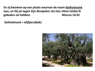 En zij kwamen op een plaats waarvan de naam Gethsémané 
was, en Hij zei tegen Zijn discipelen: Ga hier zitten totdat Ik 
gebeden zal hebben. Marcus 14:32 
Gethsémané = olijfpers(bak) 
 