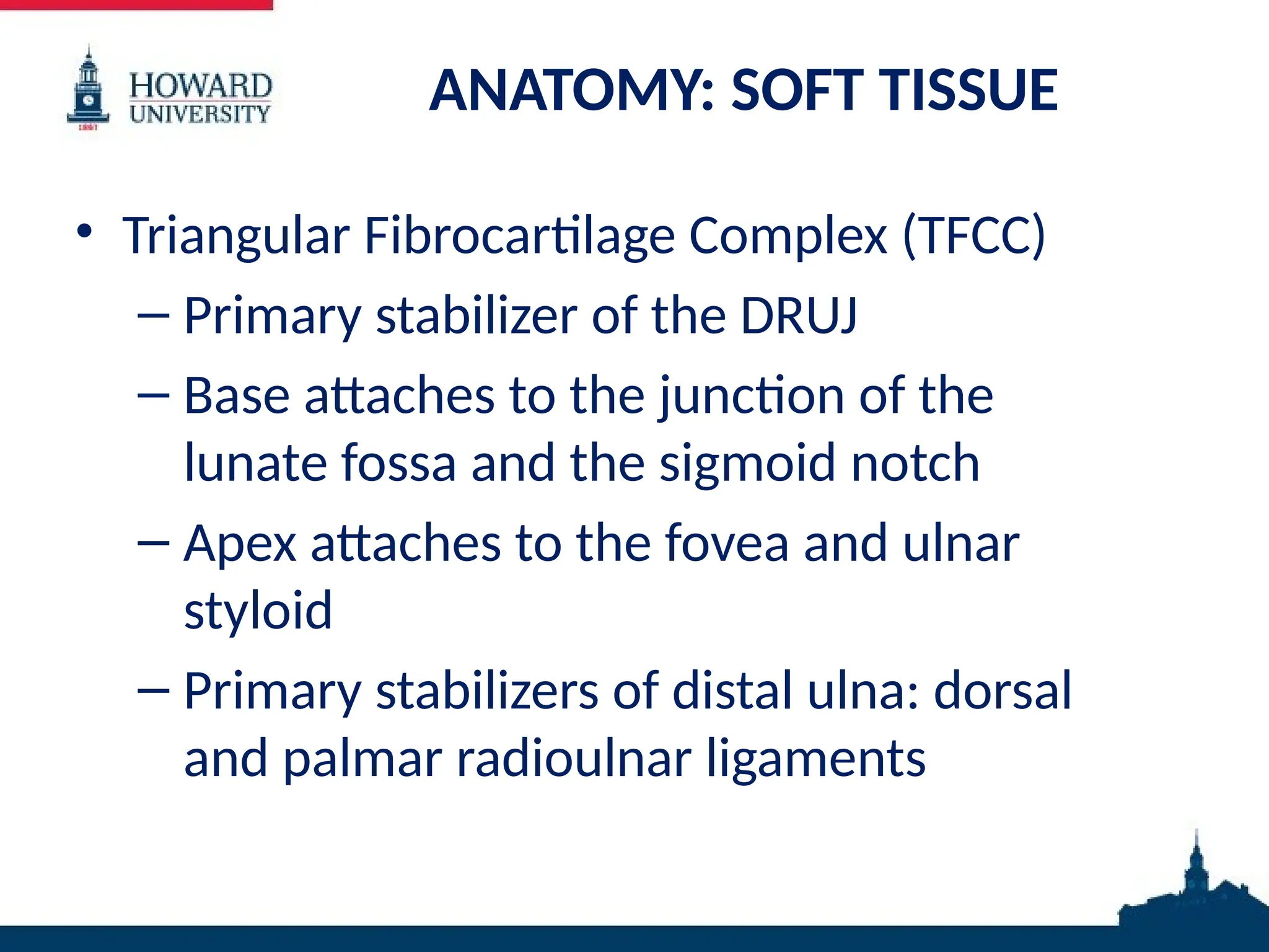ANATOMY: SOFT TISSUE
• Triangular Fibrocartilage Complex (TFCC)
– Primary stabilizer of the DRUJ
– Base attaches to the junction of the
lunate fossa and the sigmoid notch
– Apex attaches to the fovea and ulnar
styloid
– Primary stabilizers of distal ulna: dorsal
and palmar radioulnar ligaments
 