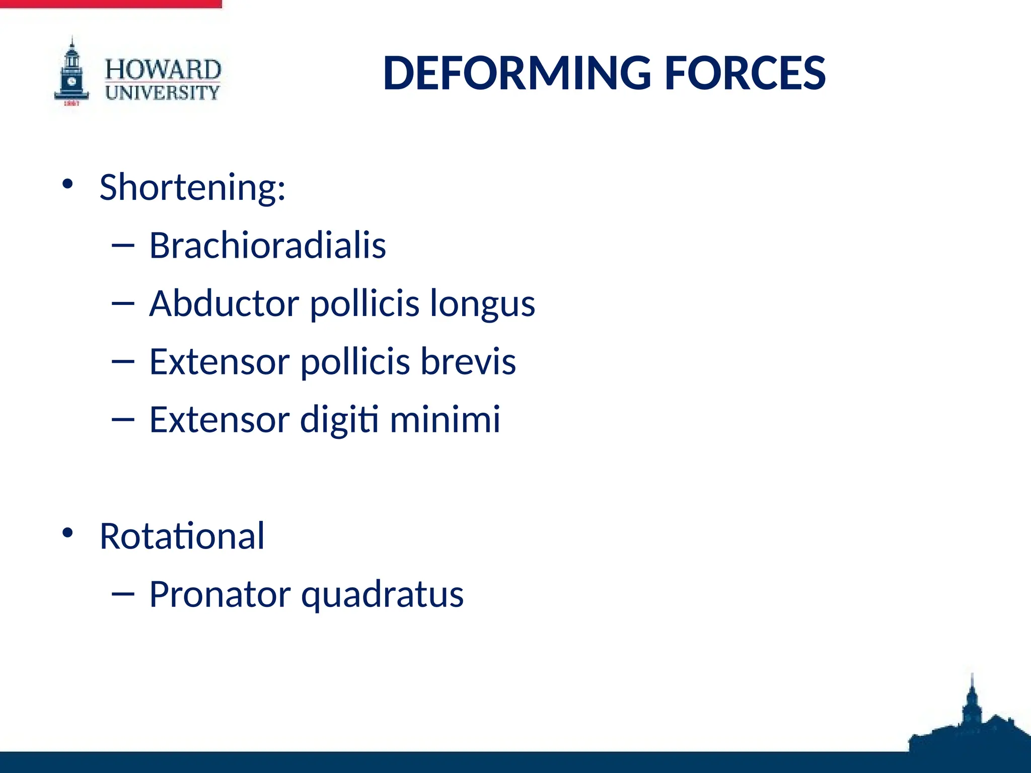 DEFORMING FORCES
• Shortening:
– Brachioradialis
– Abductor pollicis longus
– Extensor pollicis brevis
– Extensor digiti minimi
• Rotational
– Pronator quadratus
 
