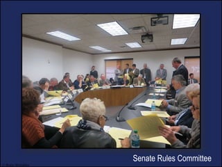 © Brain Wrinkles
Senate Rules Committee
 