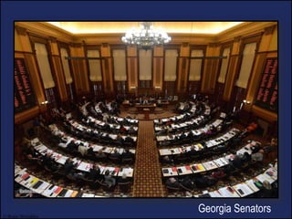 © Brain Wrinkles
Georgia Senators
 