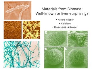 Materials from Biomass:
Well-known or Ever-surprising?
• Natural Rubber
• Cellulose
• Electrostatic Adhesion
17
 