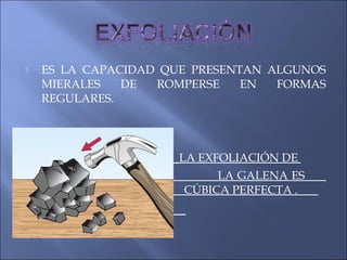  ES LA CAPACIDAD QUE PRESENTAN ALGUNOS
MIERALES DE ROMPERSE EN FORMAS
REGULARES.

 LA EXFOLIACIÓN DE
 LA GALENA ES
CÚBICA PERFECTA. CÚBICA PERFECTA .

 