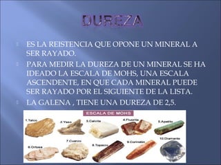  ES LA REISTENCIA QUE OPONE UN MINERAL A
SER RAYADO.
 PARA MEDIR LA DUREZA DE UN MINERAL SE HA
IDEADO LA ESCALA DE MOHS, UNA ESCALA
ASCENDENTE, EN QUE CADA MINERAL PUEDE
SER RAYADO POR EL SIGUIENTE DE LA LISTA.
 LA GALENA , TIENE UNA DUREZA DE 2,5.
 