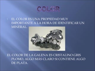  EL COLOR ES UNA PROPIEDAD MUY
IMPORTANTE A LA HORA DE IDENTIFICAR UN
MINERAL.
EL COLOR DE LA GALENA ES CRISTALINO.GRIS
PLOMO, ALGO MÁS CLARO SI CONTIENE ALGO
DE PLATA.
 