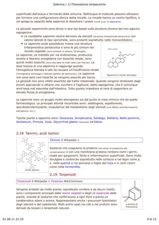 Galenica / 1) Fitosostanze terapeutiche


         superficiale dell'acqua e formando della schiuma. Nelll'acqua le molecole possono allinearsi
         per formare una configurazione sferica detta micella. Le micelle hanno un centro lipofilico, e
         ciò spiega la capacità delle saponine di dissolvere i grassi (come p.es. la saponaria).

         Le glicosidi saponiniche sono divise in due tipi basati sulla struttura chimica dei loro agliconi
         sapogenine:
                Le cosiddette saponine neutre derivano da steroidi (struttura triterpenoide tetraciclica) con
                catene laterali di tipo spirocheta; sono presenti soprattutto nelle monocotiledoni.
                Le saponine acide possiedono invece una struttura
                triterpenoidica pentaciclica e sono le più comuni nel
                mondo vegetale (sono presenti in almeno 70 famiglie)
         Le saponine, se iniettate per via endovenosa, producono
         emolisi e liberano emoglobina con tossicità renale; sono
         quindi molto tossiche (sono alla base di molti veleni per freccia). La
         dose tossica di una saponina si raggiunge quando
         l'emoglobina liberata è tale da causare un'insufficienza renale
         (l'emoglobina danneggia il delicato epitelio del glomerulo). Le saponine
                                                                                  Saponina a nucleo steroideo
         non sono però così tossiche se vengono assunte per bocca.
         Le glicosidi non sono infatti assorbite dal tratto intestinale. Quando vengono idrolizzate dagli
         enzimi appropriati si ottiene uno zucchero e l'aglicone, detto sapogenina, che è comunque
         anch'essa mal assorbita dall'intestino. Tutto questo impedisce al rene di sopportare un
         elevato flusso di emoglobina.

         Le saponine sono un gruppo molto eterogeneo sia dal punto di vista chimico che da quello
         farmacologico. Le principali attività riscontrate sono: adattogena, espettorante,
         ipocolesterolemizzante, modulatrice del metabolismo degli steroidi (con effetto antinfiammatorio,
         estrogenico, ecc.).


         Tipiche piante a saponine sono: Dioscorea, Scrophularia, Solidago, Stellaria, Bellis perennis,
         Verbascum, Primula, Viola, Glycyrrhiza glabra (liquirizia) ed Edera.



         2.18  Tannini, acidi tannici
                                   Tannino it.Wikipedia !


                                   Sostanze che coagulano le proteine (nel senso di prepararle alla
                                   conservazione) e con una membrana proteica rendono inerti i germi.
                                   Usate per gargarismi, ferite e infiammazioni superficiali. Sono molto
                                   divulgate e contenute soprattutto nelle cortecce e nei legni come p.
                                   e. nella quercia o nei pericarpi e foglie del noce e in certi rizomi
                                   come nella tormentilla.
                 Acido tannico

                                   2.19  Terpenoidi
         Terpenoidi it.Wikipedia ! Terpenes WikiCommons


         Vengono prodotti da molte piante, soprattutto conifere e da alcuni insetti,
         sono i componenti principali delle resine vegetali e degli oli essenziali delle
         piante, miscele di sostanze che conferiscono a ogni fiore o pianta un
         caratteristico odore o aroma. Rappresentano anche i precursori biosintetici
         degli steroidi e del colesterolo. Molti aromi usati nei cibi o nei profumi sono         "-pinene di
                                                                                                 Trementina
         derivati da terpeni o terpenoidi naturali.



01.08.11 21.33                                                                                                  9 di 12
 