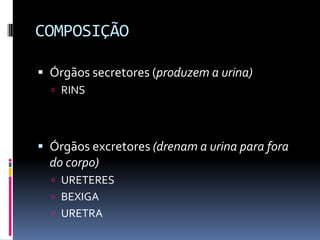 COMPOSIÇÃO

 Órgãos secretores (produzem a urina)
   RINS




 Órgãos excretores (drenam a urina para fora
  do corpo)
   URETERES
   BEXIGA
   URETRA
 