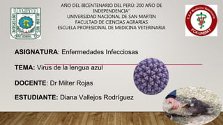 AÑO DEL BICENTENARIO DEL PERÚ: 200 AÑO DE
INDEPENDENCIA”
UNIVERSIDAD NACIONAL DE SAN MARTIN
FACULTAD DE CIENCIAS AGRARIAS
ESCUELA PROFESIONAL DE MEDICINA VETERINARIA
ASIGNATURA: Enfermedades Infecciosas
TEMA: Virus de la lengua azul
DOCENTE: Dr Milter Rojas
ESTUDIANTE: Diana Vallejos Rodríguez
 
