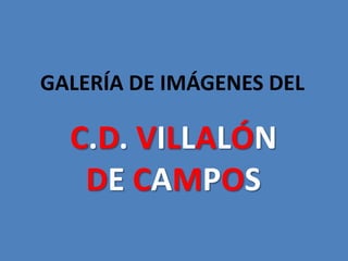 GALERÍA DE IMÁGENES DEL C.D. VILLALÓN DE CAMPOS 