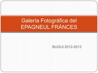 Galería Fotográfica del
EPAGNEUL FRÁNCES


            BUGUI 2012-2013
 