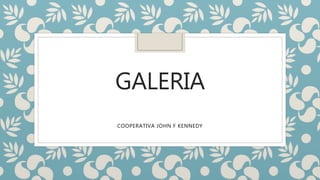 GALERIA
COOPERATIVA JOHN F KENNEDY
 