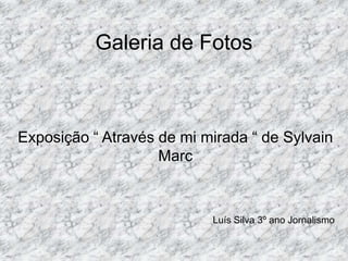 Galeria de Fotos  Exposição “ Através de mi mirada “ de SylvainMarc Luís Silva 3º ano Jornalismo  