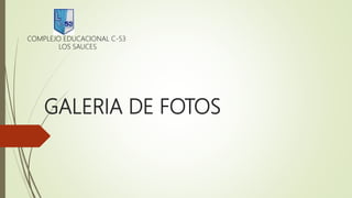 GALERIA DE FOTOS
COMPLEJO EDUCACIONAL C-53
LOS SAUCES
 
