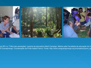 Oficinas em grupos de trabalho, visita à agrofloresta no Jardim São Luiz-SP e a “Trilha das sensações” (autoria da educadora Marô Camargo, Mestra pela Faculdade de educação da USP-SP)atividades do projeto Agenda 21 escolar na Guarapiranga.  Realização: SOS Guarapiranga. Coordenação da Profa Isabel Franco. Fonte: http://www.sosguarapiranga.org.br/projetos/ypora_agenda21.php 