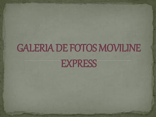 Galeria de fotos moviline express (1)