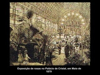 Exposição de rosas no Palácio de Cristal, em Maio de
                       1879.
 
