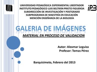 MATERIAL EN PROCESO DE VALIDACION

                      Autor: Alexmar Leguiza
                       Profesor: Tomas Pérez


     Barquisimeto, Febrero del 2013
 