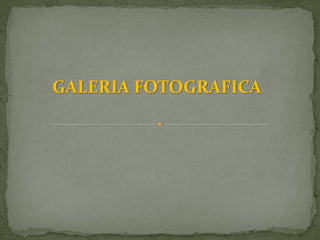 GALERIA FOTOGRAFICA
 