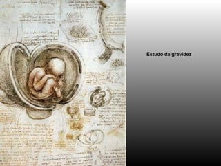 Estudo da gravidez   