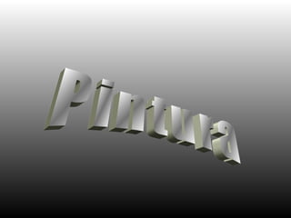 Pintura 