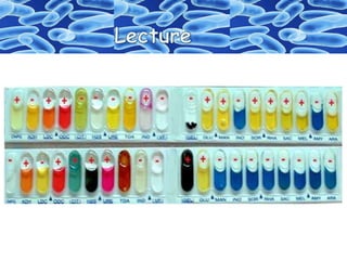 Identification  des bactéries "Galerie biohimique "API"