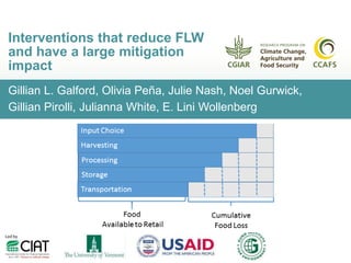 Gillian L. Galford, Olivia Peña, Julie Nash, Noel Gurwick,
Gillian Pirolli, Julianna White, E. Lini Wollenberg
Interventions that reduce FLW
and have a large mitigation
impact
 