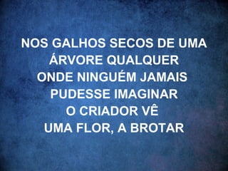 NOS GALHOS SECOS DE UMA
ÁRVORE QUALQUER
ONDE NINGUÉM JAMAIS
PUDESSE IMAGINAR
O CRIADOR VÊ
UMA FLOR, A BROTAR