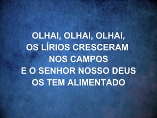 OLHAI, OLHAI, OLHAI,
OS LÍRIOS CRESCERAM
NOS CAMPOS
E O SENHOR NOSSO DEUS
OS TEM ALIMENTADO