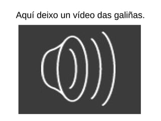 Aquí deixo un vídeo das galiñas.
 