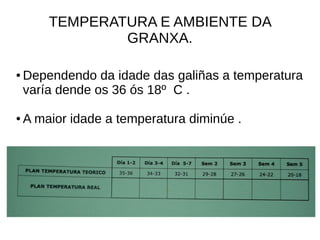 TEMPERATURA E AMBIENTE DA
GRANXA.
● Dependendo da idade das galiñas a temperatura
varía dende os 36 ós 18º C .
● A maior idade a temperatura diminúe .
 