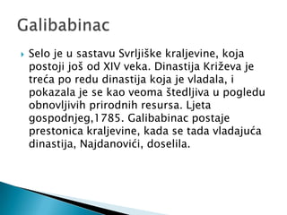    Selo je u sastavu Svrljiške kraljevine, koja
    postoji još od XIV veka. Dinastija Križeva je
    treća po redu dinastija koja je vladala, i
    pokazala je se kao veoma štedljiva u pogledu
    obnovljivih prirodnih resursa. Ljeta
    gospodnjeg,1785. Galibabinac postaje
    prestonica kraljevine, kada se tada vladajuća
    dinastija, Najdanovići, doselila.
 