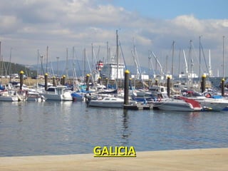 GALICIA 