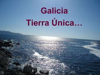 Galicia Tierra Única… 
