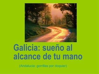 Galicia: sueño al
alcance de tu mano
 (Andalucia: gorrillas por doquier)