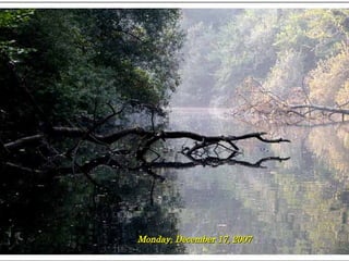 Friday, May 29, 2009 