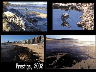 Prestige, 2002